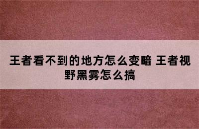 王者看不到的地方怎么变暗 王者视野黑雾怎么搞